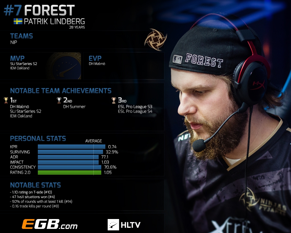 forest